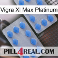 Vigra Xl Max Platinum 20